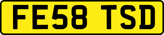 FE58TSD