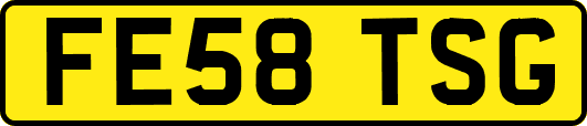 FE58TSG