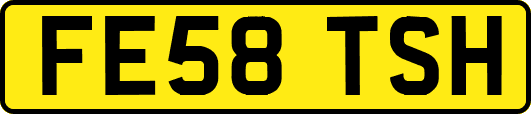 FE58TSH