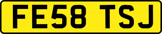 FE58TSJ