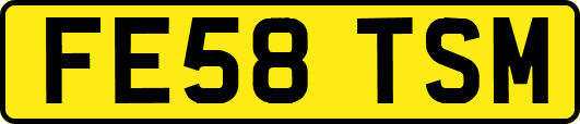 FE58TSM