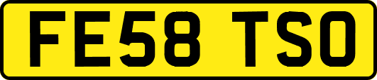 FE58TSO