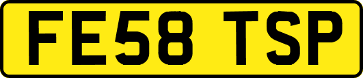 FE58TSP