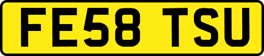 FE58TSU