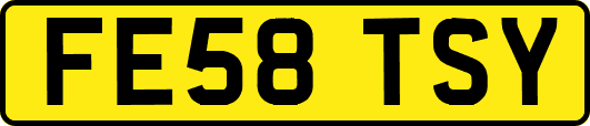 FE58TSY