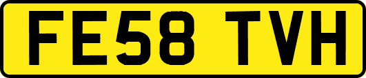 FE58TVH