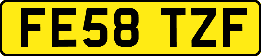 FE58TZF