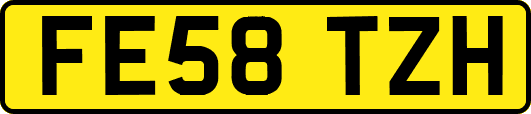 FE58TZH