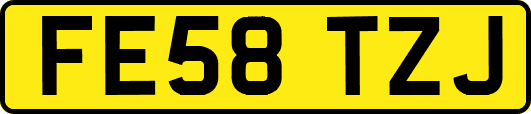 FE58TZJ