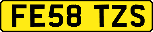 FE58TZS