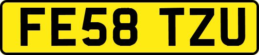 FE58TZU