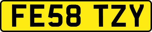 FE58TZY