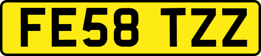 FE58TZZ