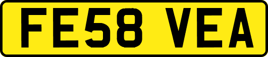 FE58VEA
