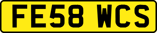 FE58WCS