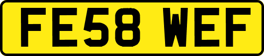 FE58WEF