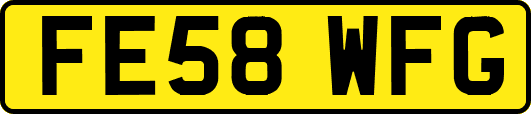 FE58WFG