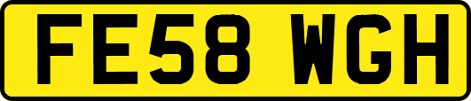 FE58WGH