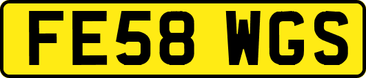 FE58WGS