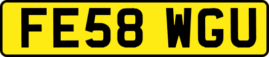 FE58WGU