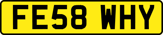 FE58WHY
