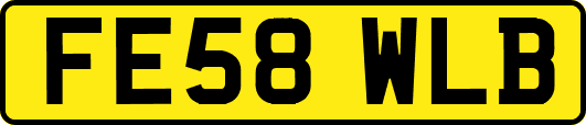 FE58WLB