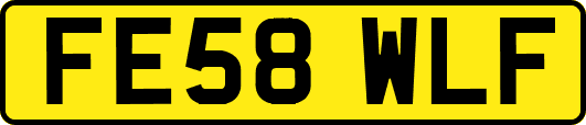 FE58WLF