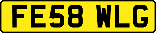 FE58WLG