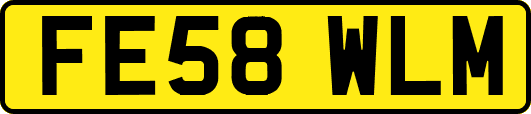 FE58WLM