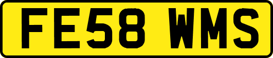 FE58WMS