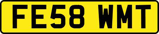 FE58WMT