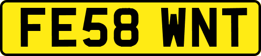 FE58WNT
