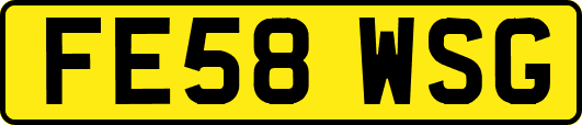 FE58WSG