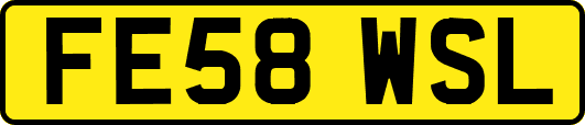 FE58WSL