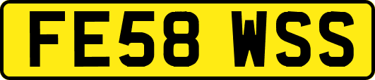FE58WSS