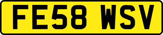 FE58WSV