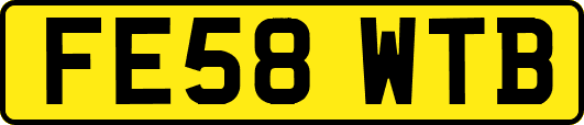 FE58WTB