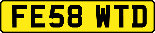 FE58WTD