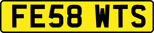 FE58WTS