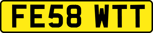 FE58WTT