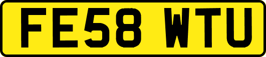 FE58WTU