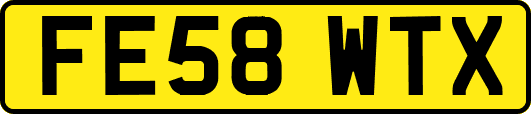 FE58WTX