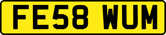 FE58WUM