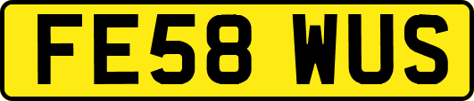 FE58WUS