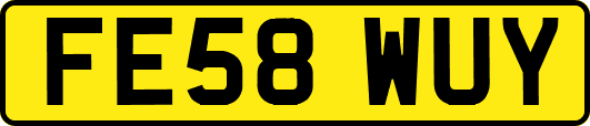 FE58WUY