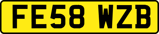 FE58WZB