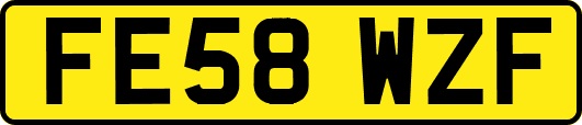 FE58WZF