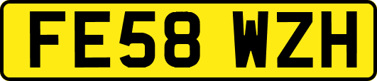 FE58WZH
