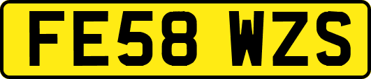 FE58WZS