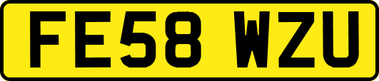 FE58WZU
